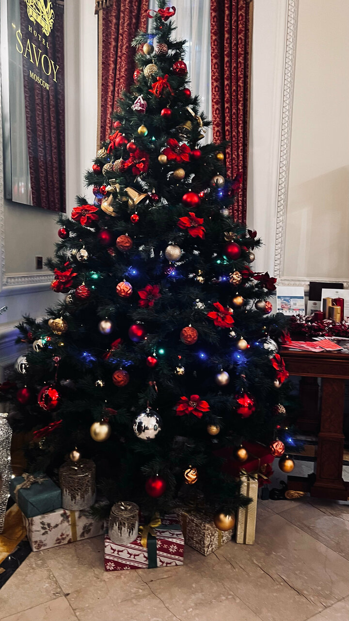 Гостиница Савой Москва-209