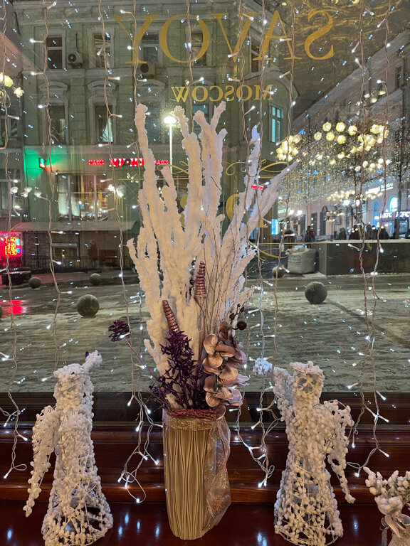 Гостиница Савой Москва-160