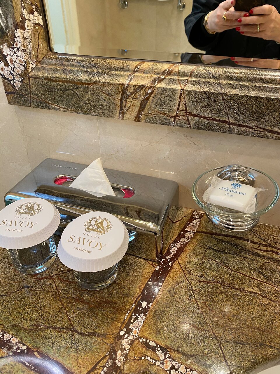 Гостиница Савой Москва-219