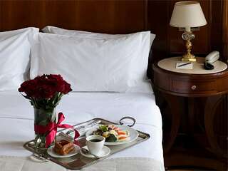 Гостиница Савой Москва Представительский номер-7