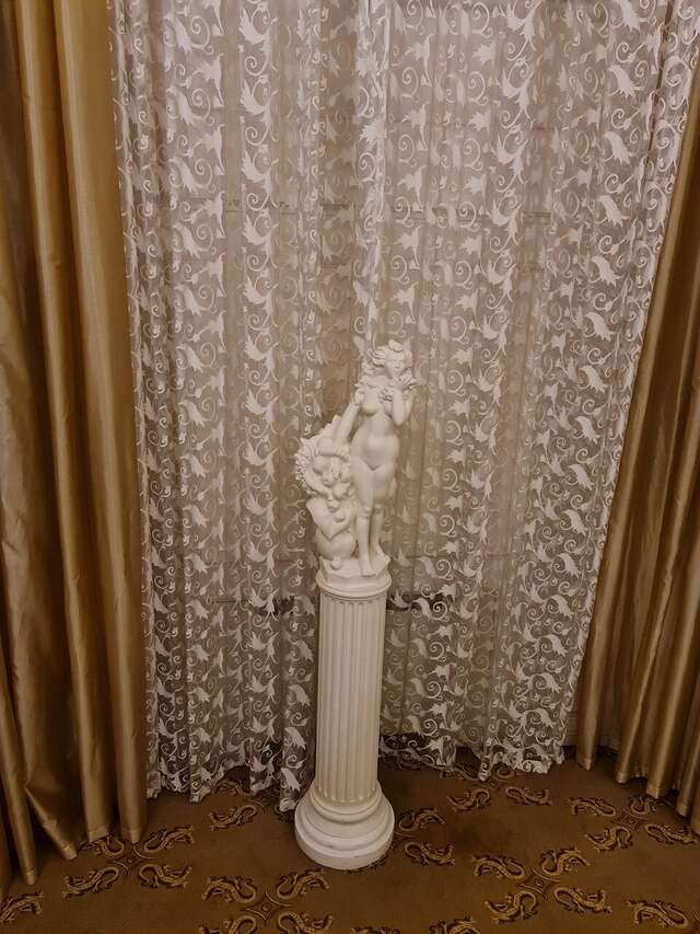 Гостиница Савой Москва-100