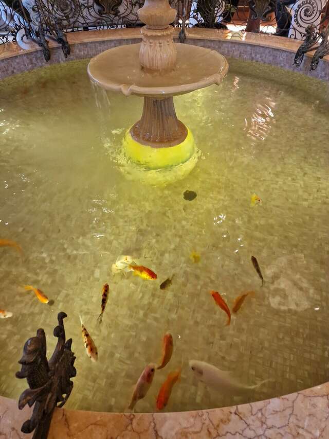 Гостиница Савой Москва-54