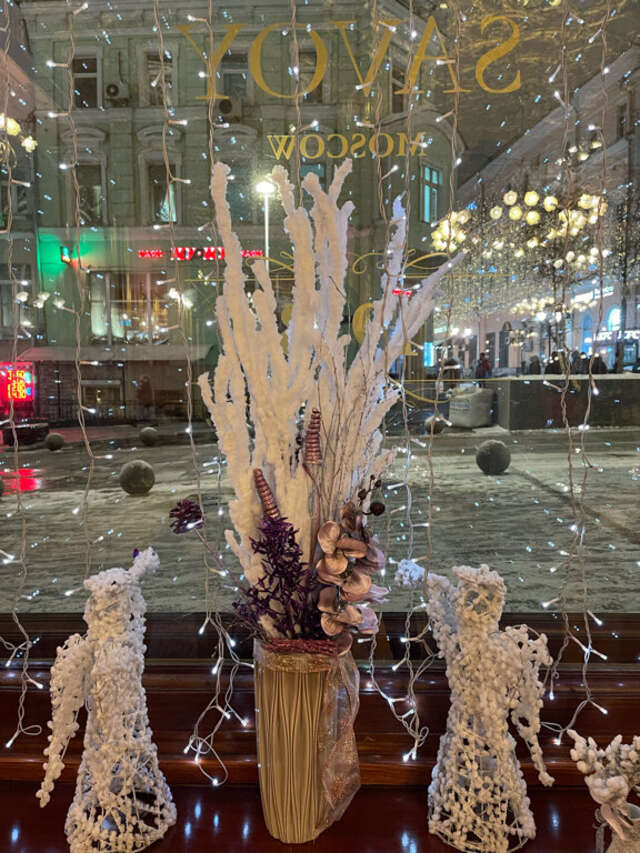 Гостиница Савой Москва-159